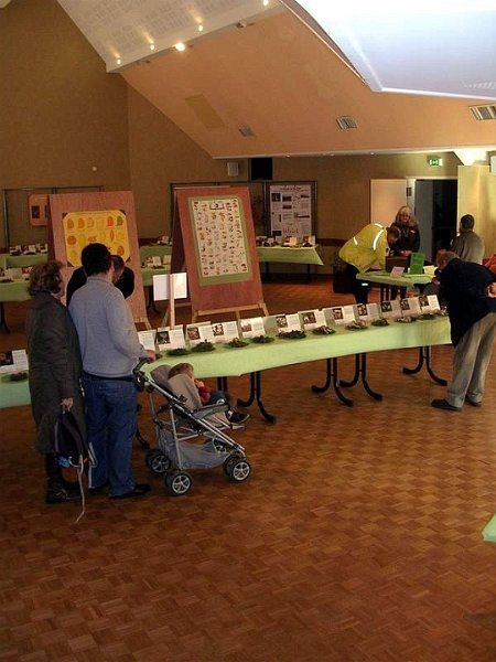 Expo champignons a St Leger 47